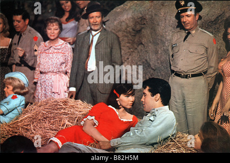 Salut les cousins Kissin' Cousins  Year: 1964 USA Elvis Presley , Yvonne Craig , Arthur O'Connell , Glenda Farrell , Jack Albertson  Director: Gene Nelson Stock Photo