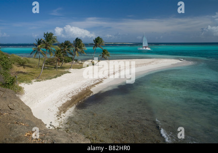 Cruising sailboats anchored near Baradel Island in the Tobago Cays in the Caribbean The Tobago Cays are part of St Vincent. Stock Photo