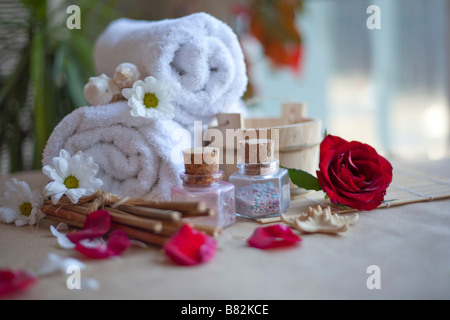 tender rose leafs and simple daisy.Photo for SPA and cosmetic Stock Photo