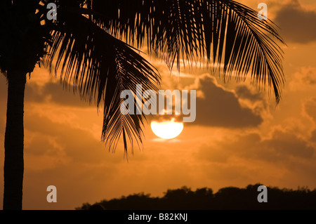 Sunset over mangrove island Marathon Key Florida Keys Florida Stock Photo