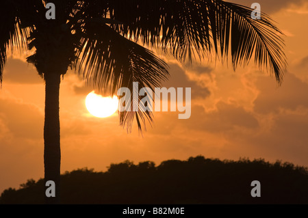Sunset over mangrove island Marathon Key Florida Keys Florida Stock Photo