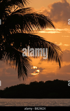 Sunset over mangrove island Marathon Key Florida Keys Florida Stock Photo