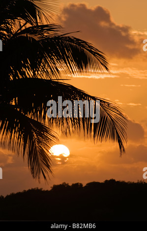 Sunset over mangrove island Marathon Key Florida Keys Florida Stock Photo