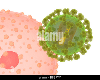 hi virus infecting cell Stock Photo