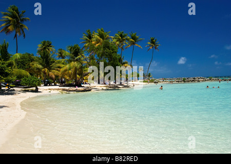 Guadeloupe Caribbean French Antilles Sainte Anne beach, beach, paradise, island, white sand, palm trees, blue sky, Stock Photo