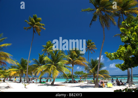 Guadeloupe Caribbean French Antilles Sainte Anne beach, white sand, palm trees, relax, island, paradise, blue sky, vacation, Stock Photo
