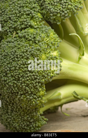 Close up of vegetable head of raw uncooked broccoli Stock Photo