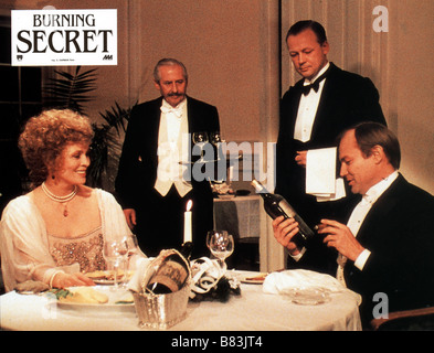 Burning Secret Burning Secret (1988) UK / West Germany Klaus Maria Brandauer, Faye Dunaway  Director: Andrew Birkin Stock Photo