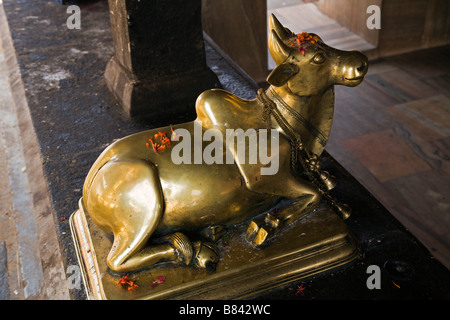 Brass statue of Nandi, Shivas bull companion, at the Shiva temple in Ernakulam, Kerala State, India Stock Photo