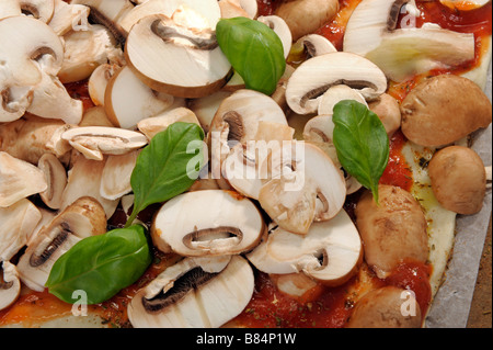 Pizza fungi mushrooms tomato basil basilikum champignon cook base dough sauce cheese mozzarella herbs fresh kitchen cooking food Stock Photo