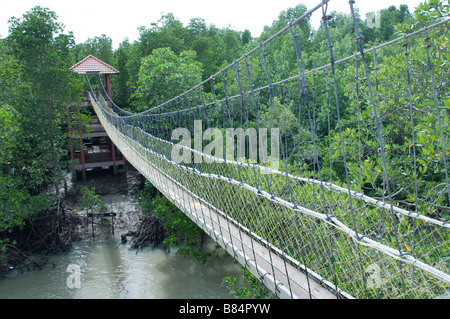 Pulau Kukup National Park, Malaysia Mangrove tide suspension bridge Stock Photo