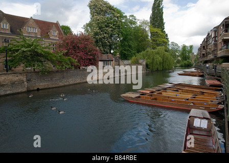 Punting on the river Cam Cambridge England Stock Photo