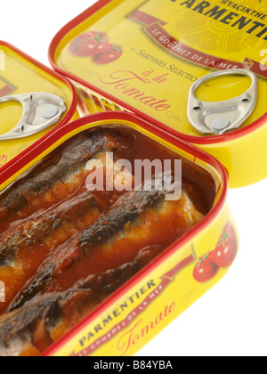 Tin Or Can Of Processed Parmentier Sardines in Tomato Sauce Against A White Background With No People And A Clipping Path Stock Photo
