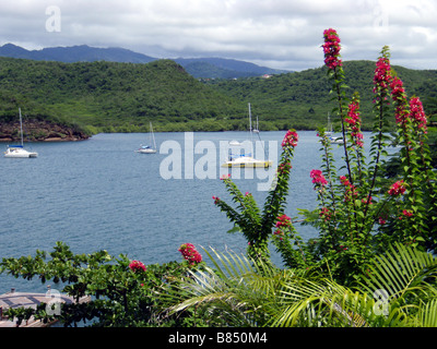 Sailing Yachts Moored in the Caribbean Sea off the Tropical Caribbean Island of Grenada Stock Photo