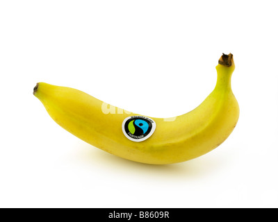 single fair trade banana Stock Photo
