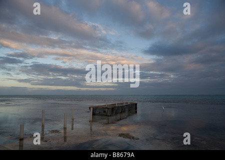 Pilings from an old pier remain after the wood is gone while an egret calmly fishes for its dinner on Ambergris Caye, Belize. Stock Photo