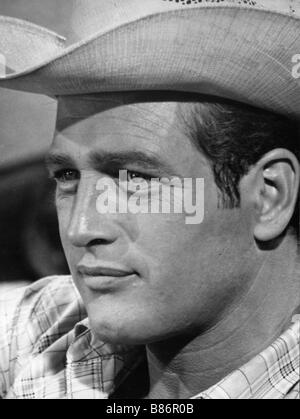 Hud  Year : 1963 - USA Paul Newman  Director: Martin Ritt Stock Photo