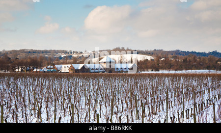 Denbies vineyard Dorking with snow around the vines and on the rooftops Stock Photo