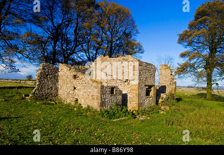 Abandoned farm building and trees on Middleton Moor near Wirksworth in the Peak District England UK Stock Photo