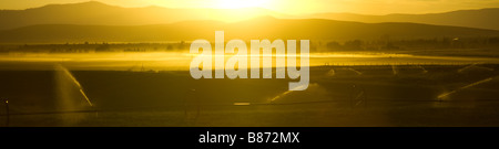 Super wide panoramic photograph of a beautiful sunset over a field with sprinklers with mountains in the background Stock Photo