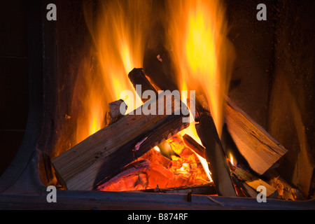 Burning log fire Stock Photo