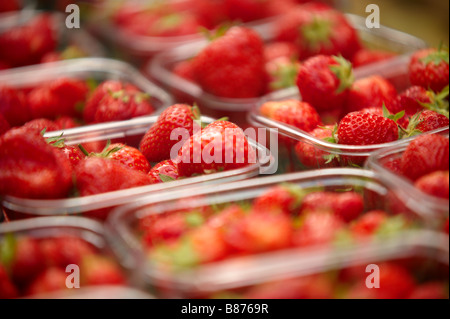 strawberrys Stock Photo