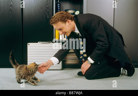 Business man fondling domestic cat kitten Stock Photo