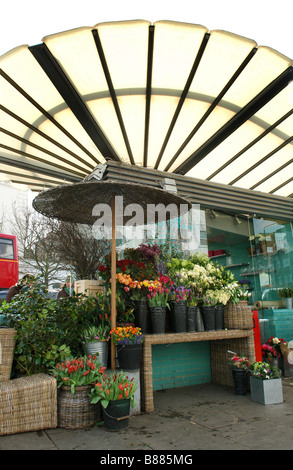 Wild at Heart Flower Shop on Turquoise Island Westbourne Grove, Notting Hill. Stock Photo