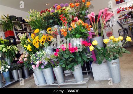 Selection of different flowers for sale in a florists W10. Stock Photo