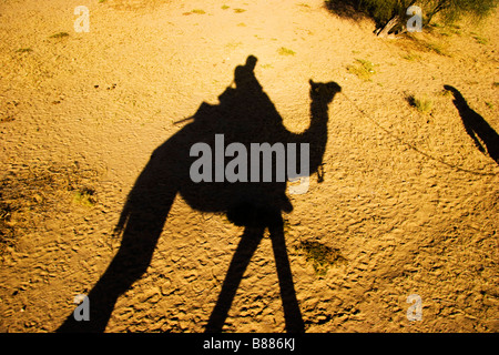 Tourist rides camel in desert Khuri Rajasthan India Stock Photo
