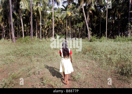 A young Indian girl walks alone in a palm ytree forest in Kerala in India Stock Photo