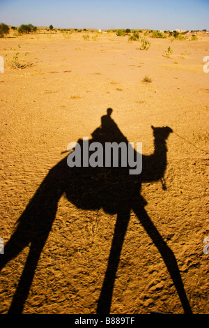 Tourist rides camel in desert Khuri Rajasthan India Stock Photo