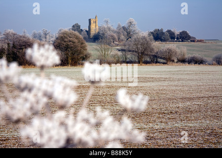 Frozen world near Goudhurst Kent UK Stock Photo