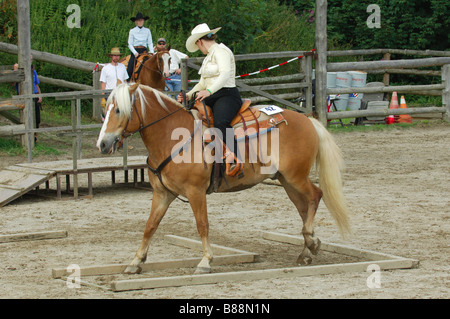 woman and Haflinger horse - western-style riding Stock Photo