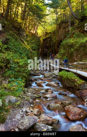 A scene form the Flume Gorge in Franconia Notch State park, New Hampshire, USA Stock Photo