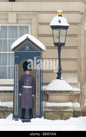 Queens Royal Guard in Sentry box in snow Stock Photo