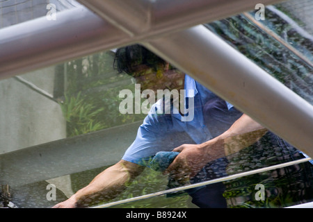 A window cleaner wipes a glass roof in a new business complex in Shanghai, China. Stock Photo