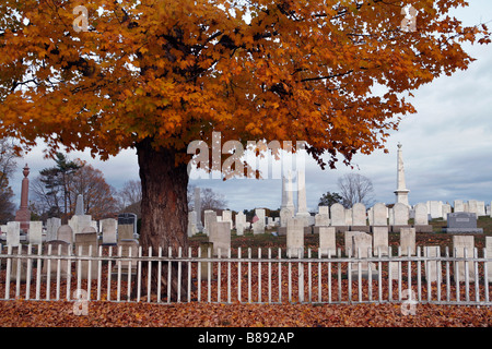 Orange tree white fence cemetary autumn New England, Berkshires, Massachusetts Stock Photo