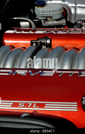 A Chevrolet Corvette engine Stock Photo
