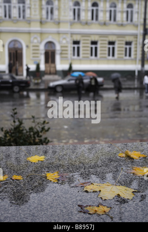 saturated maple leaves and people with umbrellas walking in the rain Stock Photo