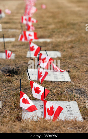 Canadian flags are placed near military grave markers. Stock Photo