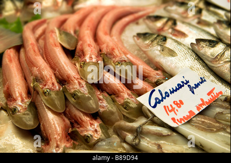 Fish Stall - Palombo - Dog Fish - Venice Rialto Fish Market Stock Photo