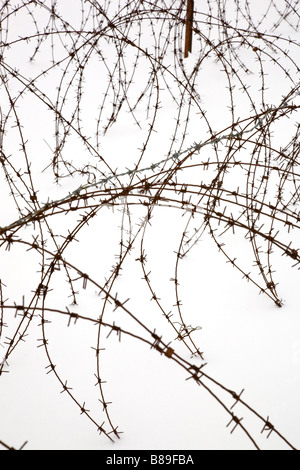 Coils of rusty old Barbed wire in the snow Stock Photo