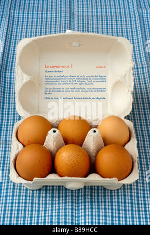 French carton / box of 6 large fresh farm eggs. Stock Photo
