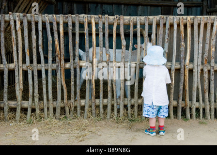 A young boy reaches out to a goat in a childrens' play area Stock Photo