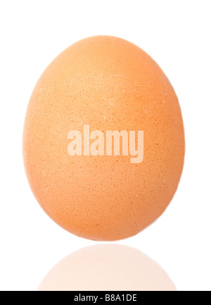 One egg a over white background Stock Photo