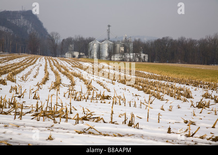 Farm land in winter featuring snow covered corn field with soybean store silos in background Stock Photo