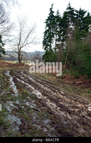 A muddy track in an English wood Park Wood Burwash East Sussex on a bleak winter s day A sign of hard times ahead? Stock Photo