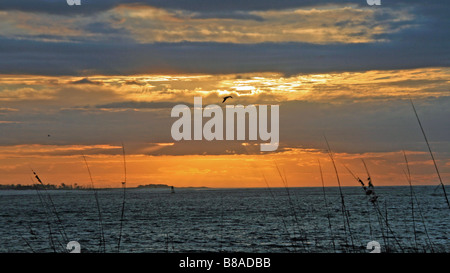 beautiful sunrise over  Pensacola Escambia bay Gulf of Mexico water with bird flying cloudy sky and sea oats waving. Stock Photo