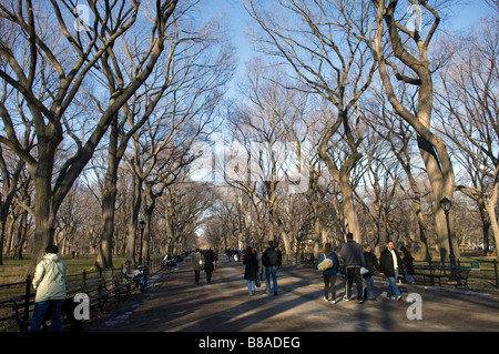 The Mall and Literary Walk in Central Park contains one of the bigest ...